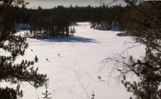 31-Videos.jpg (644 x 396)